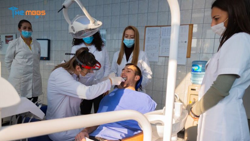 Study MBBS in Bosnia